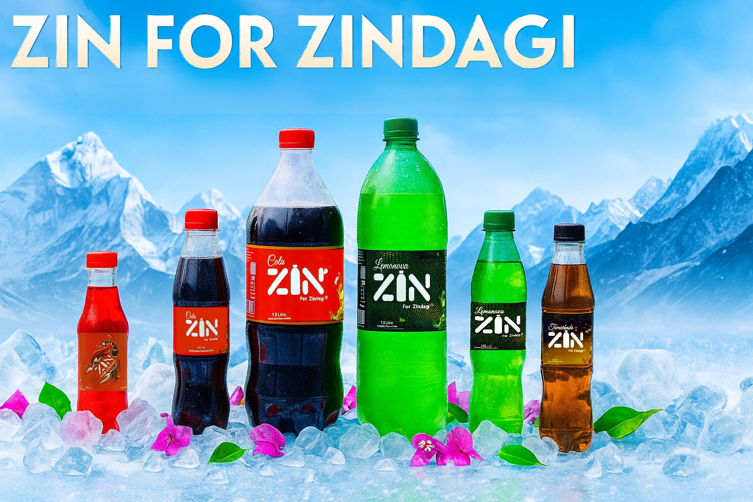 ZIN Banner